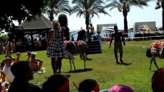 Papillon Ayscha 2013. Donkey race