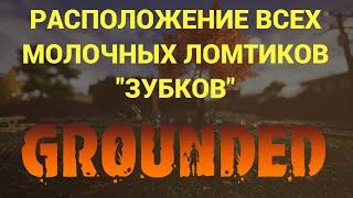 РАСПОЛОЖЕНИЕ ВСЕХ МОЛОЧНЫХ ЛОМТИКОВ "ЗУБКОВ" GROUNDED