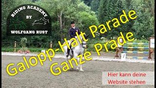 F14 Die Galopp-Haltparade. Antraben aus dem Halt. Ganze Parade Richtig Reiten lernen  online reiten