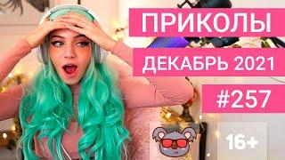  ЛУЧШИЕ ПРИКОЛЫ ДЕКАБРЬ 2021 | Я РЖАЛ ДО СЛЕЗ | Выпуск №257