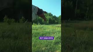 ИЩУ ПОЛЕВОЙ СТАН. первые находки #янеш #металлокоп #копметалла #коп #находка #коп_монет