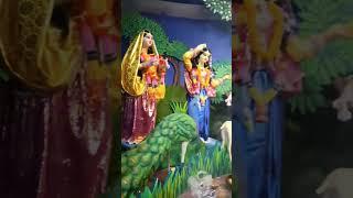 Rash Mela 2022 #rashmela #rash #mela #shorts