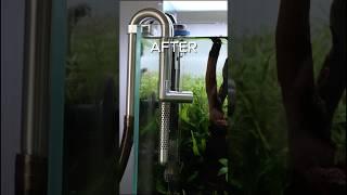 Stainless Steel Lily Pipes are a game changer? #aquascape #aquarium #aquaticplants #aquascaping