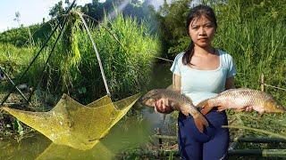 FISHING VIDEO: Harvesting fish with homemade nets Go to the village to sell - Farm forest life