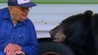 The Man Who Feeds Wild Black Bears | Bear Crime | BBC Studios