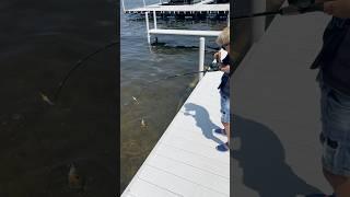 Father's Day activities #shorts #bassfishing #fishing #fish #fathersday #outdoors #bluegill #fun #1k