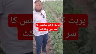 perbat Crop Sciences|surge spray| #agriculture #agrians #farming