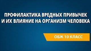 Профилактика вредных привычек и их влияние на организм человека