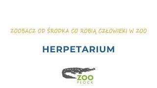 ZOObacz od środka co robią człowieki w ZOO - odc. 1 Herpetarium