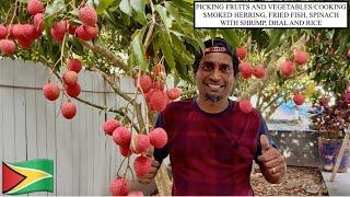 PICKING FRUITS AND VEGETABLES/COOKING SMOKED HERRING, FRIED FISH, SPINACH WITH SHRIMP, DHAL AND RICE