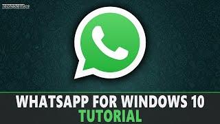 How To Download And Install WhatsApp On PC - (Quick & Easy)