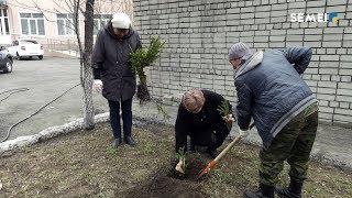 «САЯБАҚТАР ШЕРУІ - 2019»