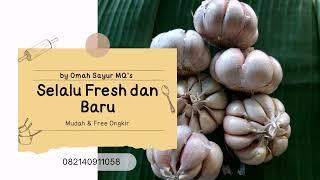 Beli Sayur Segar Online Free Ongkir di Tlogomas Malang Info WA 082140911058