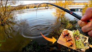 Angeln am Rhein auf Wels, Hecht und Zander bei Hochwasser - Catch and Cook / Mission Wels Ep.28