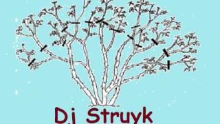 Dj Struyk - Lunatik