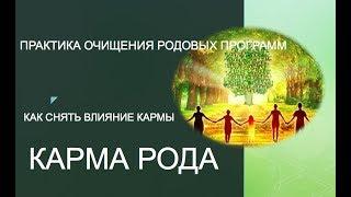 РОД  КАРМА РОДА/ КАК УБРАТЬ ВЛИЯНИЕ КАРМЫ