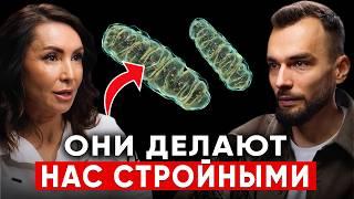 Тело само начнет сжигать жировые клетки! Как быстро похудеть по науке? Эндокринолог Диляра Лебедева