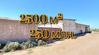 2500 m² ferma sotiladi 250 mln. Mo'ljal: Xonqa tum. Xonqa obod qishloqi. #рекомендации #urdu