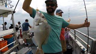 BLACKHAWK PORGY SLAM, Pro Tips for Party Boat Porgies