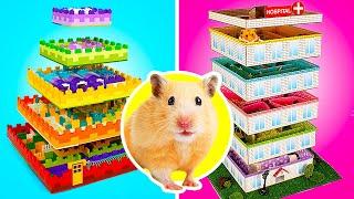 DIY Hamster Mazes || Escape the hamster maze