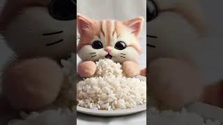 cute cat eating rice wao testy #funnyshorts #funny #cat