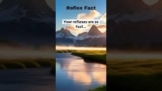 Interesting fact about reflex #youtubeshorts #unknownfacts #interestingfacts #vitaminmusic #trending