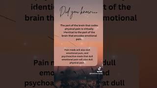 Physical and Emotional Pain are the Same #massagetherapy #somatictherapy #recovery #mindbodyspirit