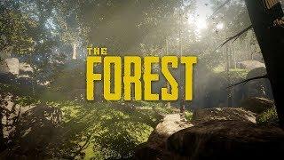 The Forest ищем енота