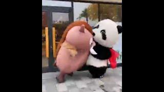 cute   #panda #cute #funny #video #tiktok #panda_tiktok Cute Panda Animation Tiktok compilation