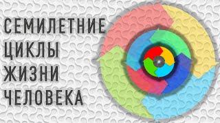 Семилетние циклы жизни человека