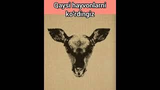 illusion #boshqotirma#mantiqiysavol#illusion#topishmoq