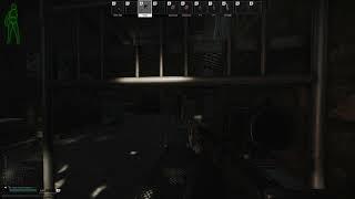 EFT - Can't see but can M1