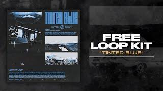 [FREE] ANALOG LOOP KIT/SAMPLE PACK - "Tinted Blue" (Drake, Don Toliver, PartyNextDoor, Dark R&B)