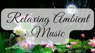 Relaxing Ambient Music  Lotus Flowers, Moonlight, and Willow Trees Serenity