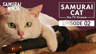 Samurai Cat Full Episode 2 | SAMURAI VS NINJA | English Sub