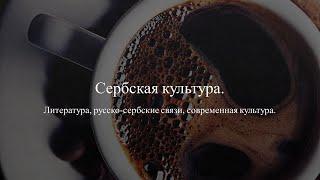 Лекция Е.В. Шатько «О сербской литературе: от средних веков до современности» на II Школе славистики