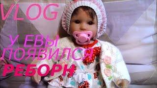 VLOG:У ЕВЫ ПОЯВИЛСЯ РЕБОРН!ЛОЛ С 4-МЯ УШАМИ))))))))))