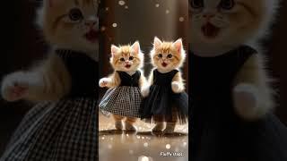 little cuties are dancing  #trending #shorts #short #shortvideo #cat