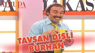 Tavşan Dişli Burhan - Avrupa Yakası