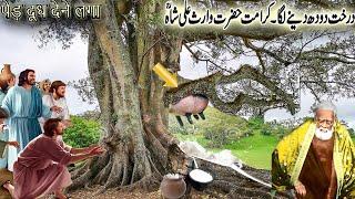 Tree Began To Give Milk/Waris Ali Shah Deva Sharif/पेड़ दूध देने लगा-T.B.L