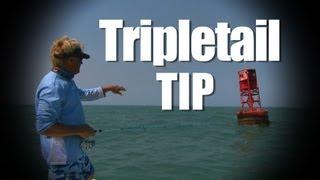 Port Canaveral Tripletail on the Buoys How To