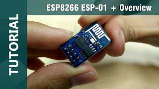 ESP8266 ESP-01 WiFi IOT Arduino IDE Compatible Module Overview