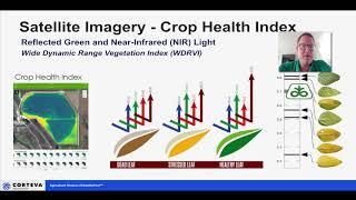Field Scouting with Encirca Pro Crop Health Imagery