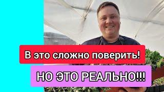 Петуния зацветёт через 30 дней от посева! Раскрываю секрет!