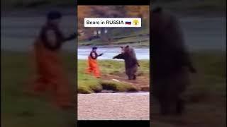 Bears in USA vs RUSSIA MEME  #shorts