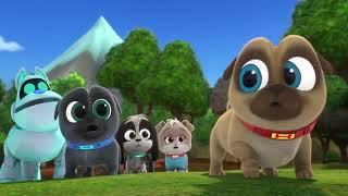 Ant Swarm | Puppy Dog Pals
