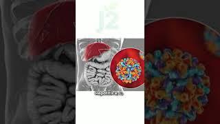 Hepatitis Explained in 2 Minutes | Types, Symptoms & Prevention #j2healthup #facts #highlight
