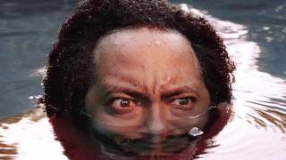 Thundercat - 'I Am Crazy'