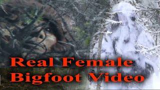 Real Female Bigfoot Video. 100% Sasquatch footage