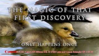  Wildlife perfection and cuteness overload. The first explorations are always the most magical.